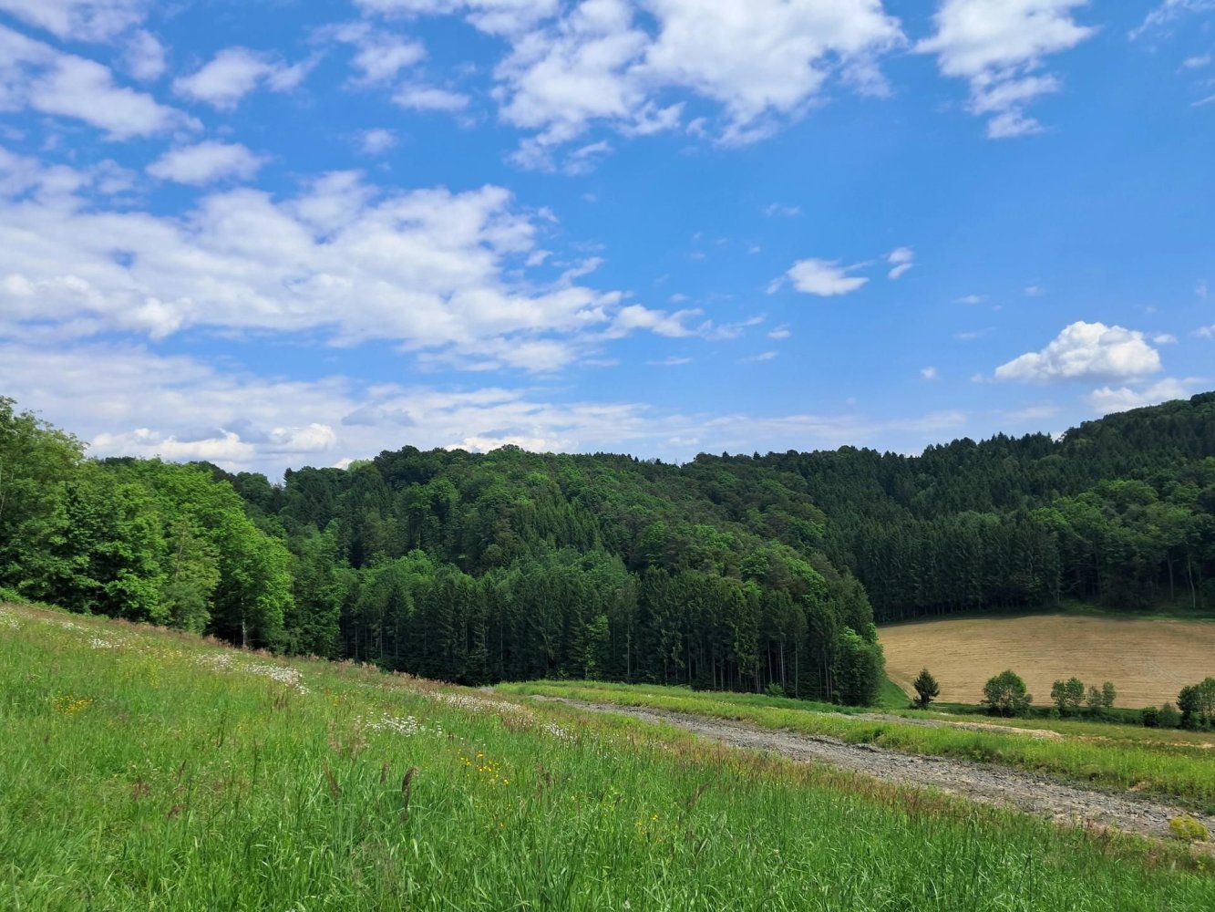  Land in Kirchbach-Zerlach, Austria No. 232120