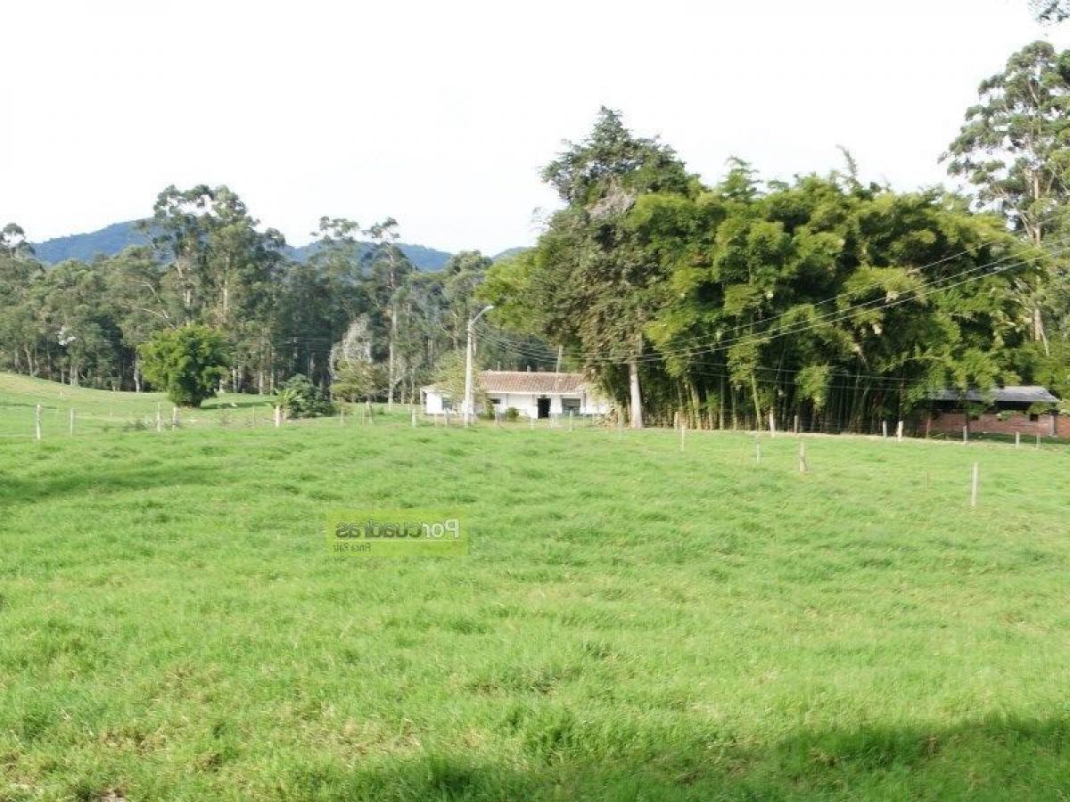  Land in Antioquia, Colombia No. 799