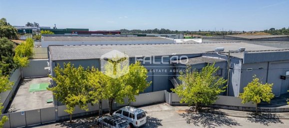 Gewerbliche Immobilie in Santarem, Portugal 15032m², Nr. 297030 6
