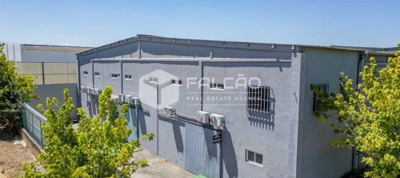 Gewerbliche Immobilie in Santarem, Portugal 15032m², Nr. 297030 8