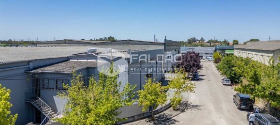 Gewerbliche Immobilie in Santarem, Portugal 15032m², Nr. 297030 5