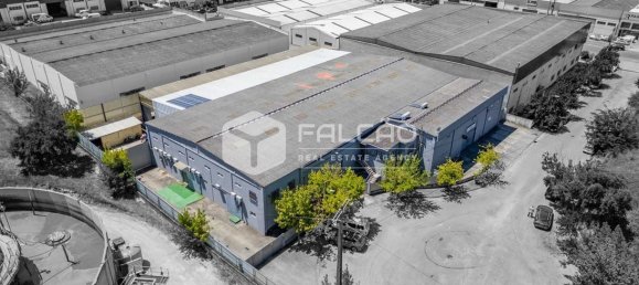 Gewerbliche Immobilie in Santarem, Portugal 15032m², Nr. 297030 2