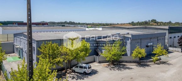 Gewerbliche Immobilie in Santarem, Portugal 15032m², Nr. 297030 10