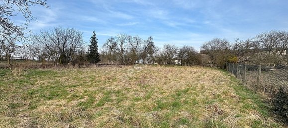 4 chambres Villa à Flastroff, France No. 51729 2