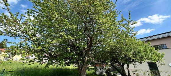 6غرفة منزل في Pinggau, Austria رقم 175704 26