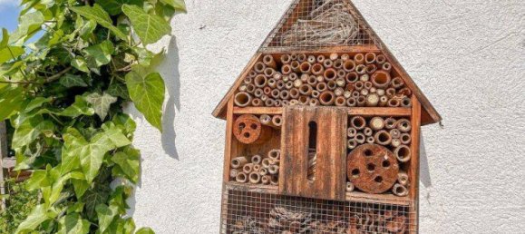 6غرفة منزل في Pinggau, Austria رقم 175704 23