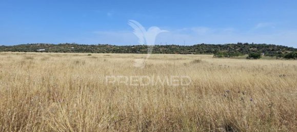 8980m² Land in Silves, Portugal No. 65727 2