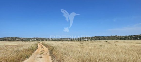 8980m² Land in Silves, Portugal No. 65727 6