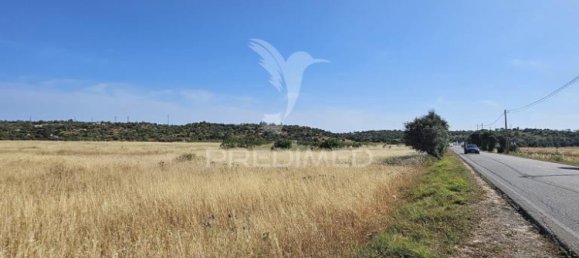 8980m² Land in Silves, Portugal No. 65727 10
