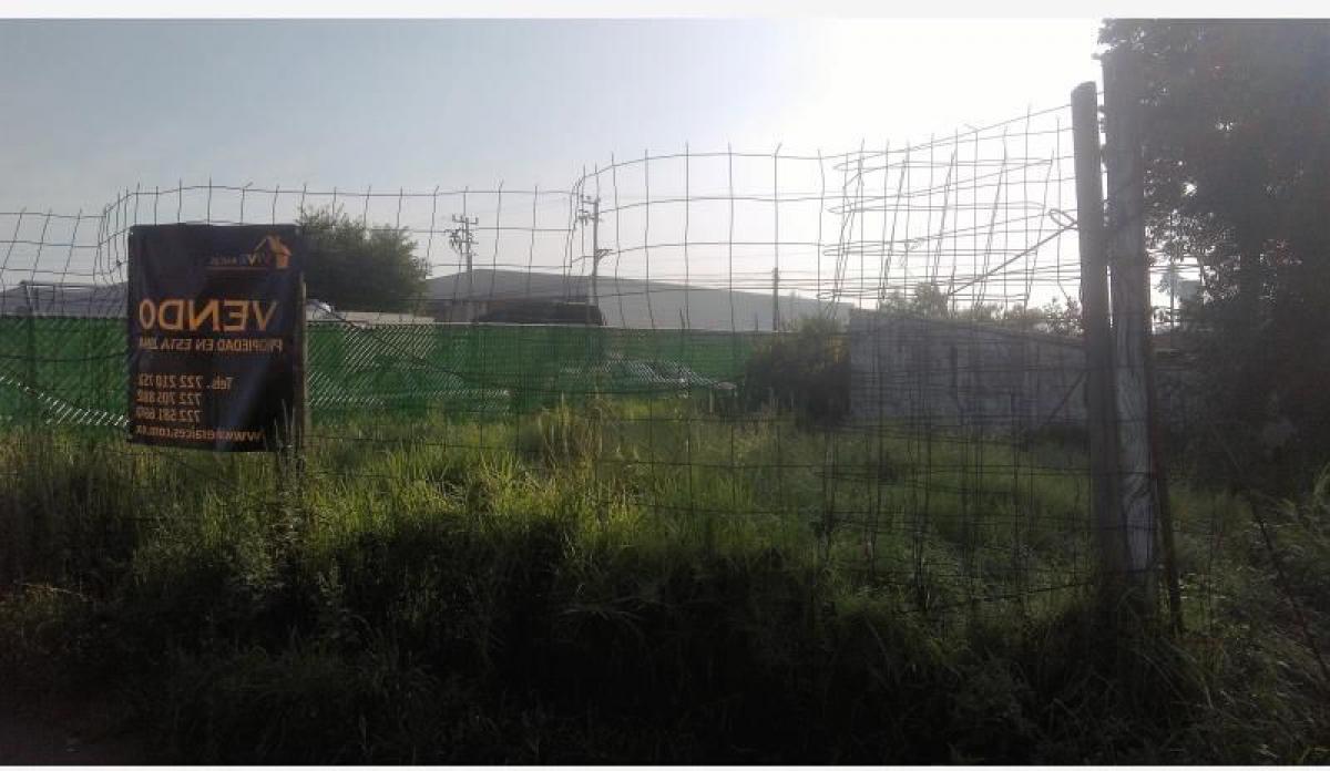  Land in San Mateo Atenco, Mexico No. 207004