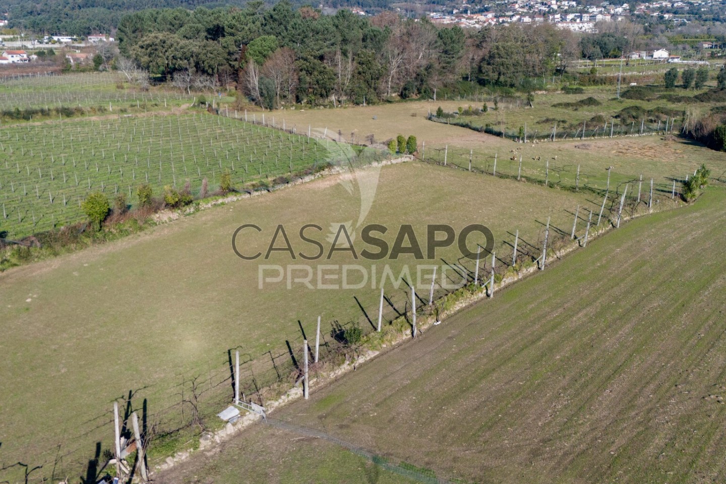 6 bedrooms House in Amares, Portugal No. 273833