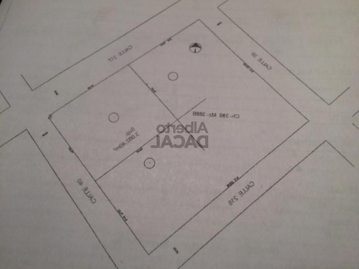  Land in Campo Creado, Argentina No. 43139