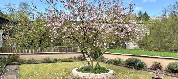 Дом с 6 комнатами в Биркенфельд, Германия № 169588 23