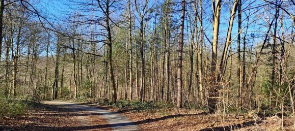 3-salle Duplex à Essen, Germany No. 83746 3