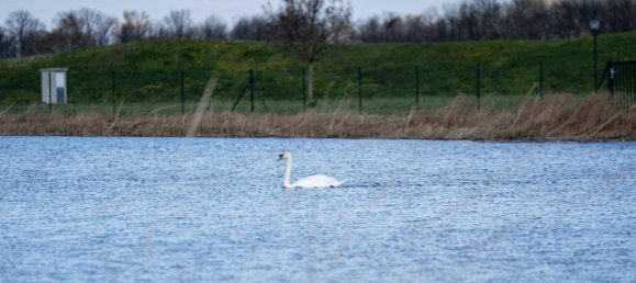 Terreno en Ebreichsdorf, Austria No. 151492 4