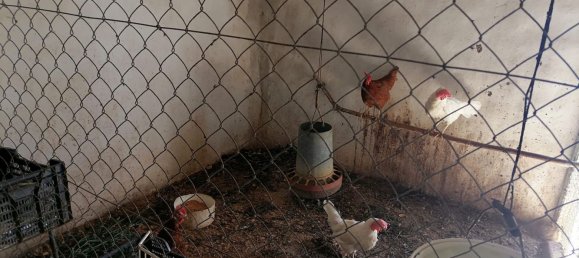  Land in Coin, Spain No. 137534 21