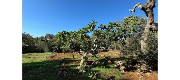 10غرفة فيلا في Parabita, Italy رقم 31707 14