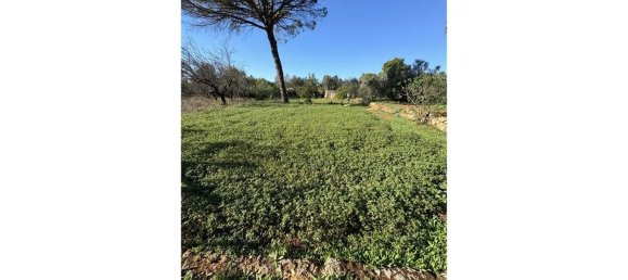 10غرفة فيلا في Parabita, Italy رقم 31707 16