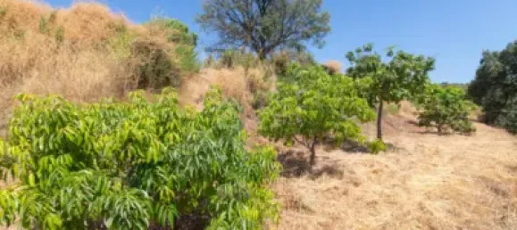 Grundstück in Estepona, Spain, Nr. 187747 17