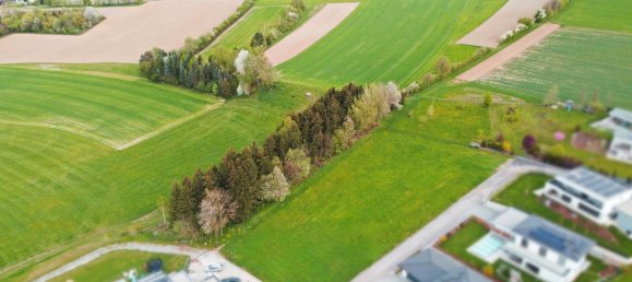  Land in Utzenaich, Austria No. 130740 2