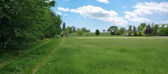  Land in Utzenaich, Austria No. 130740 6
