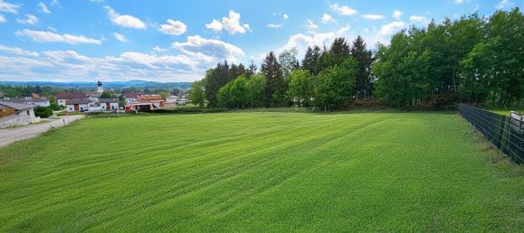  Land in Utzenaich, Austria No. 130740 3