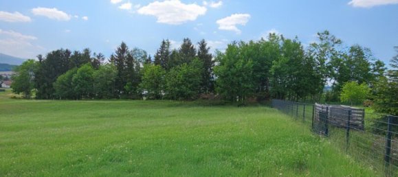  Land in Utzenaich, Austria No. 130740 5