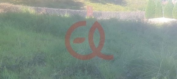 Grundstück in Viana do Castelo, Portugal 192m², Nr. 73519 2