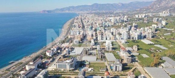 Apartment 1+1 in Alanya, Turkey No. 14350 10