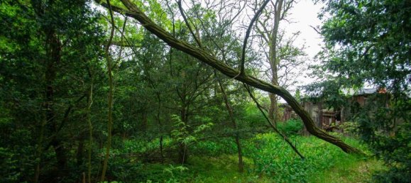 Земельный участок в Потсдам-Миттельмарк, Германия № 65092 3