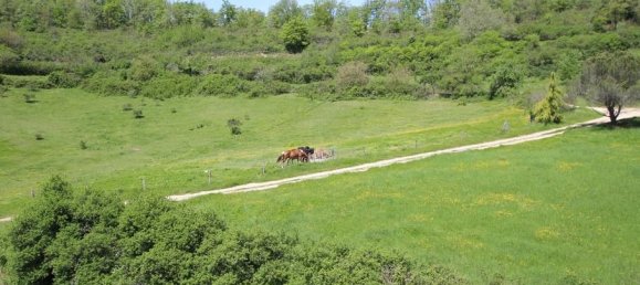 14 Schlafzimmer Haus in Mirepoix, France, Nr. 360862 12