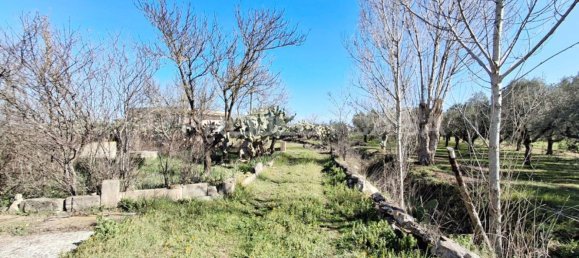 3-Zimmer Haus in Cutrofiano, Italy, Nr. 89453 10