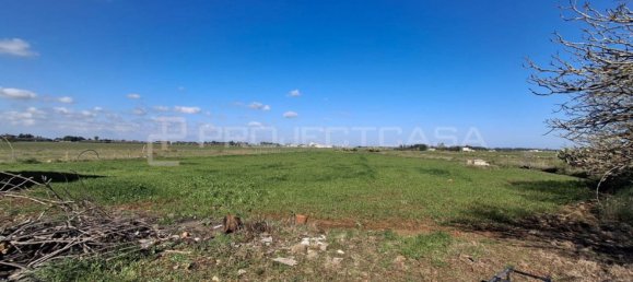 3-Zimmer Haus in Cutrofiano, Italy, Nr. 89453 11