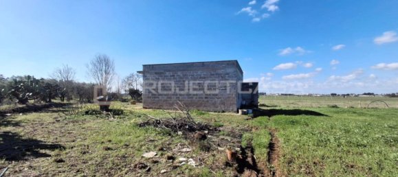 3-Zimmer Haus in Cutrofiano, Italy, Nr. 89453 9