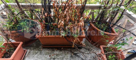 5 غرف نوم بانتهاوس في Milan, Italy رقم 260714 27