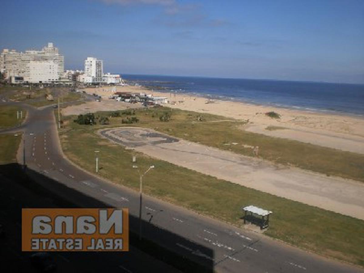 Квартира с 2 спальнями в Мальдонадо, Уругвай № 10451