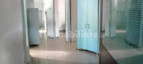 5 rooms Commercial property in Grosseto, Italy No. 355160 13