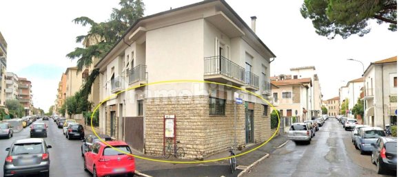 5 rooms Commercial property in Grosseto, Italy No. 355160 3