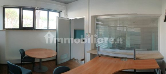 5 rooms Commercial property in Grosseto, Italy No. 355160 11
