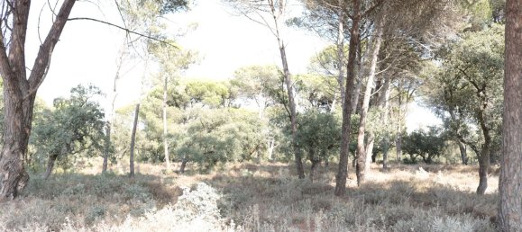 5000m² Land in Sesimbra, Portugal No. 139180 2