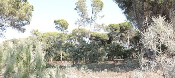 5000m² Land in Sesimbra, Portugal No. 139180 3
