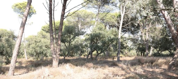 5000m² Land in Sesimbra, Portugal No. 139180 4