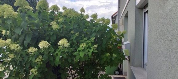 4غرفة تاون هاوس في Deutsch-Wagram, Austria رقم 196096 28