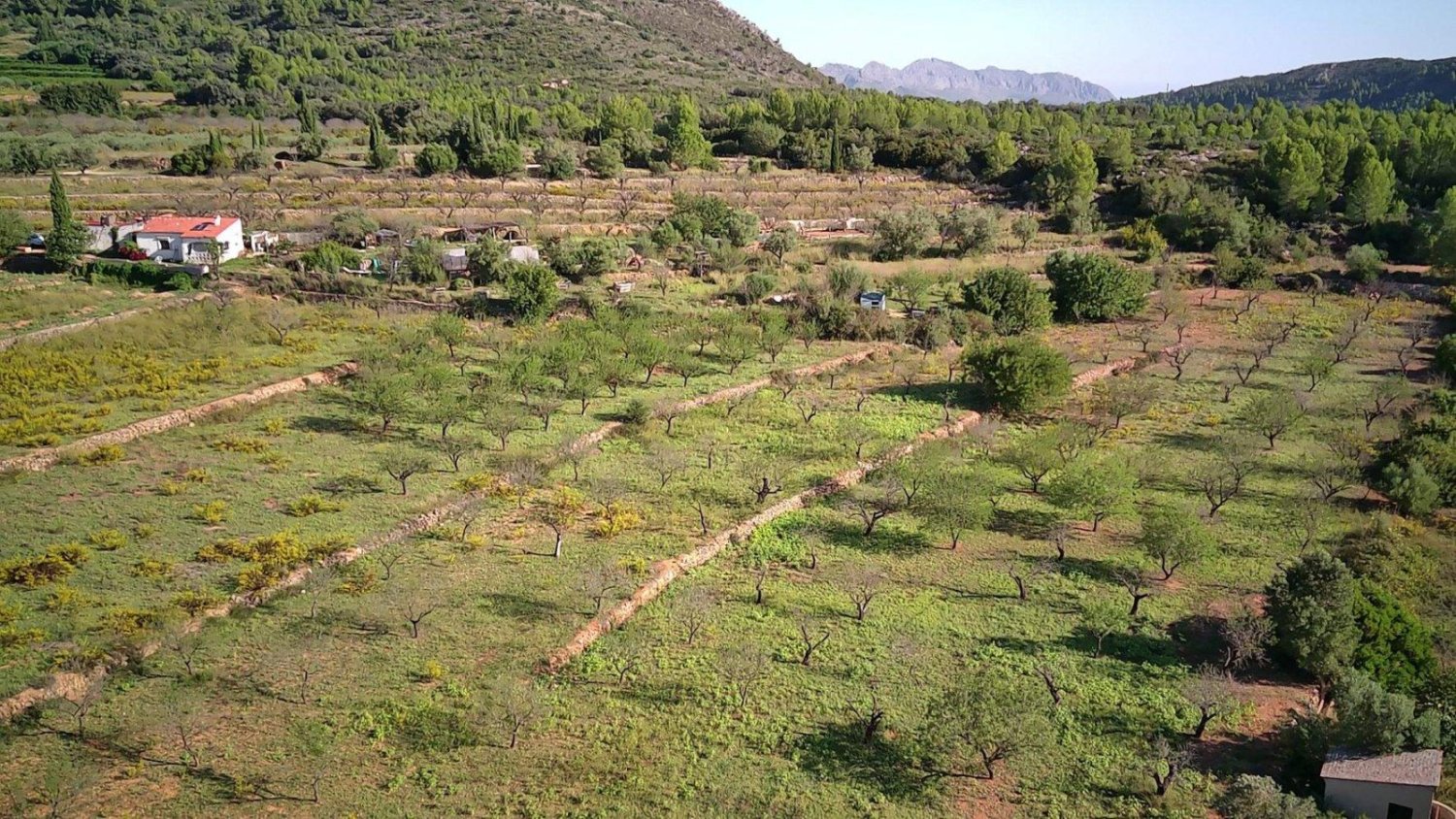  House in Murla, Spain No. 285343