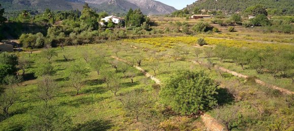  House in Murla, Spain No. 285343 6