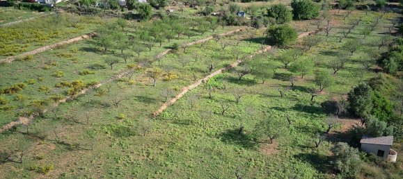  House in Murla, Spain No. 285343 2