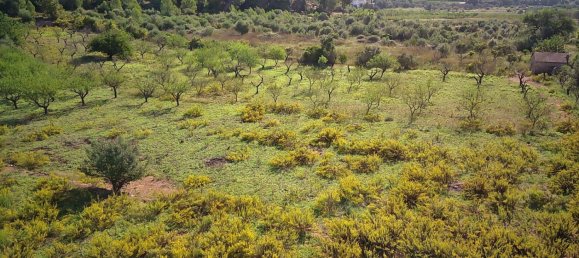  House in Murla, Spain No. 285343 4