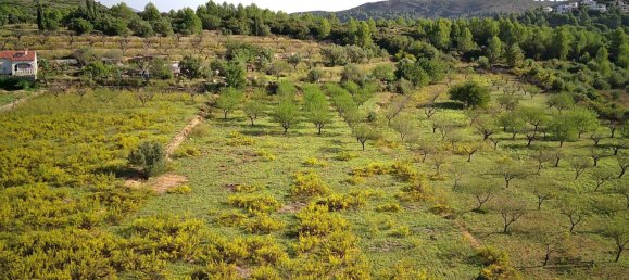  House in Murla, Spain No. 285343 3