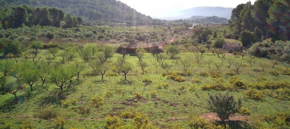  House in Murla, Spain No. 285343 5