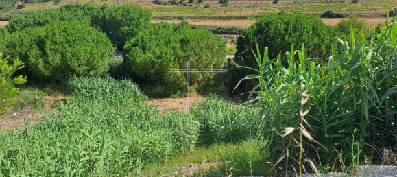 Земельный участок 667м² в Алмада, Португалия № 69576 12